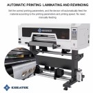 SUNIKA SK60F UV Inkl. 3 x Epson i1600 thumbnail