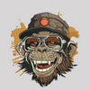Ape med solbriller