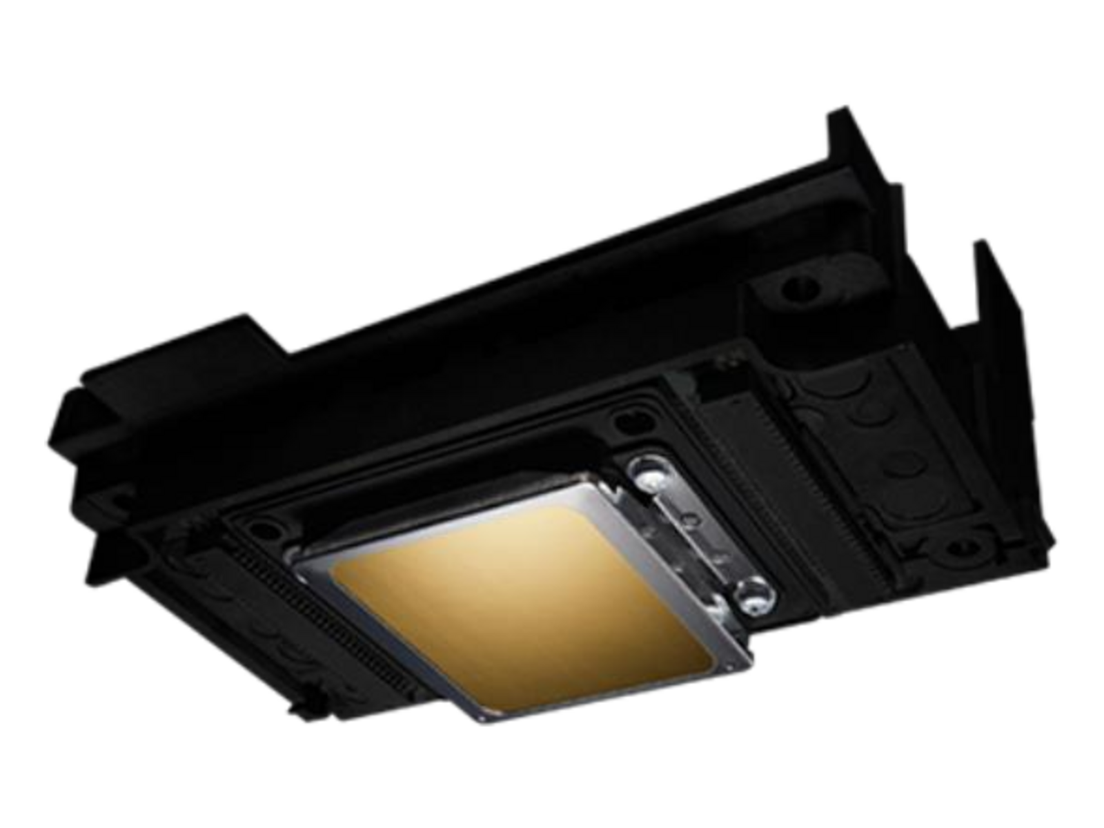 EPSON F1080-A1 skrivehovud
